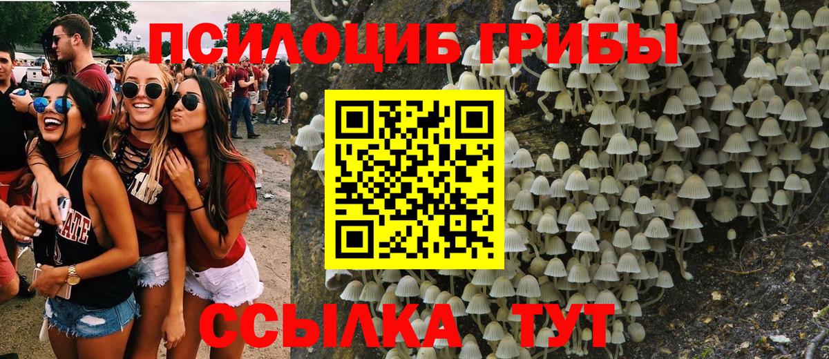 Тула  Псилоцибиновые грибы Psilocybine cubensis  купить наркоту  Вход с VPN 